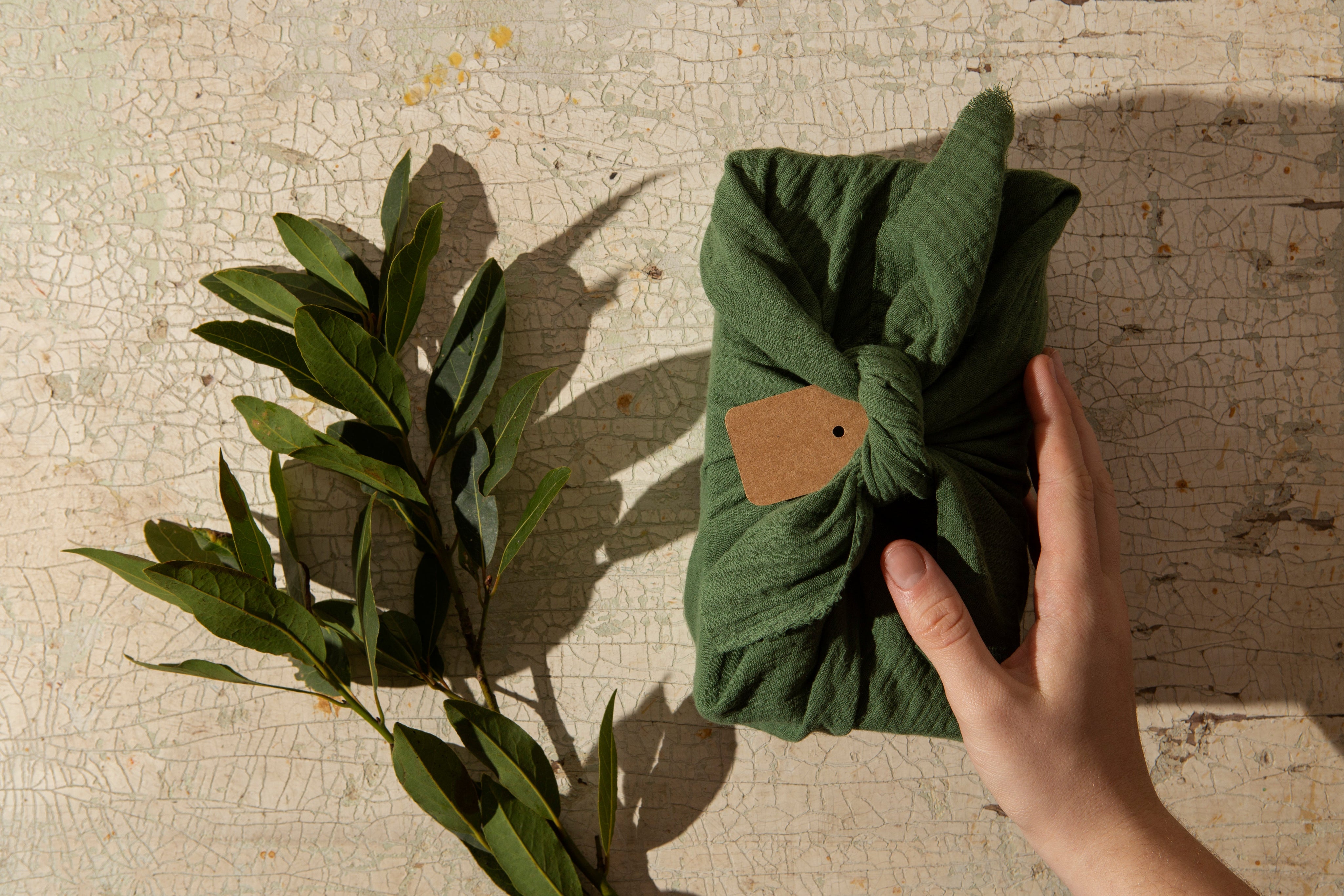 Should You Join the Clean Fashion Movement? Here’s What SME Brands Need to Know