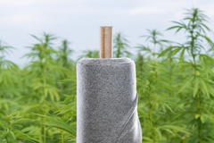 From Soil to Style: Meet Papillon Bleu's Innovative Story