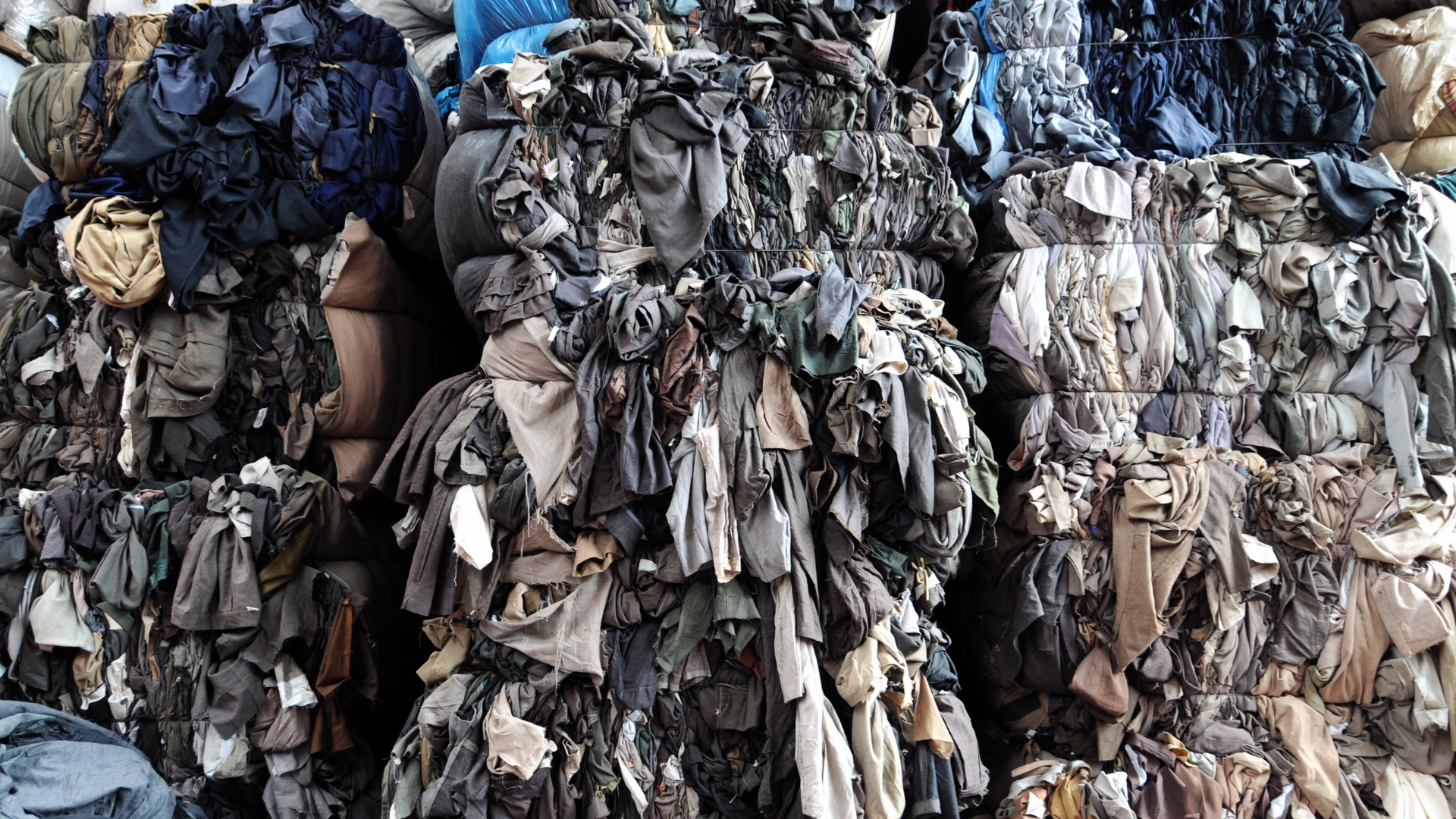 2025 Fashion Statistics: Insights for Strategic, Sustainable, and Connected Industry