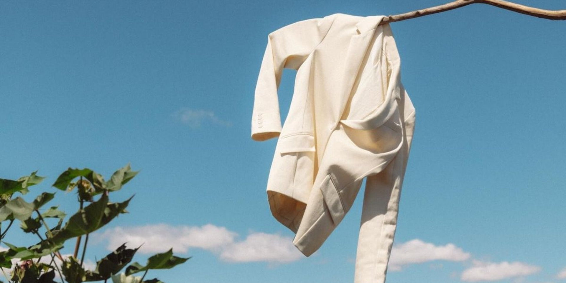 Organic Cotton vs TENCEL™ Explained: A Clear Guide for Design & Sourcing Teams