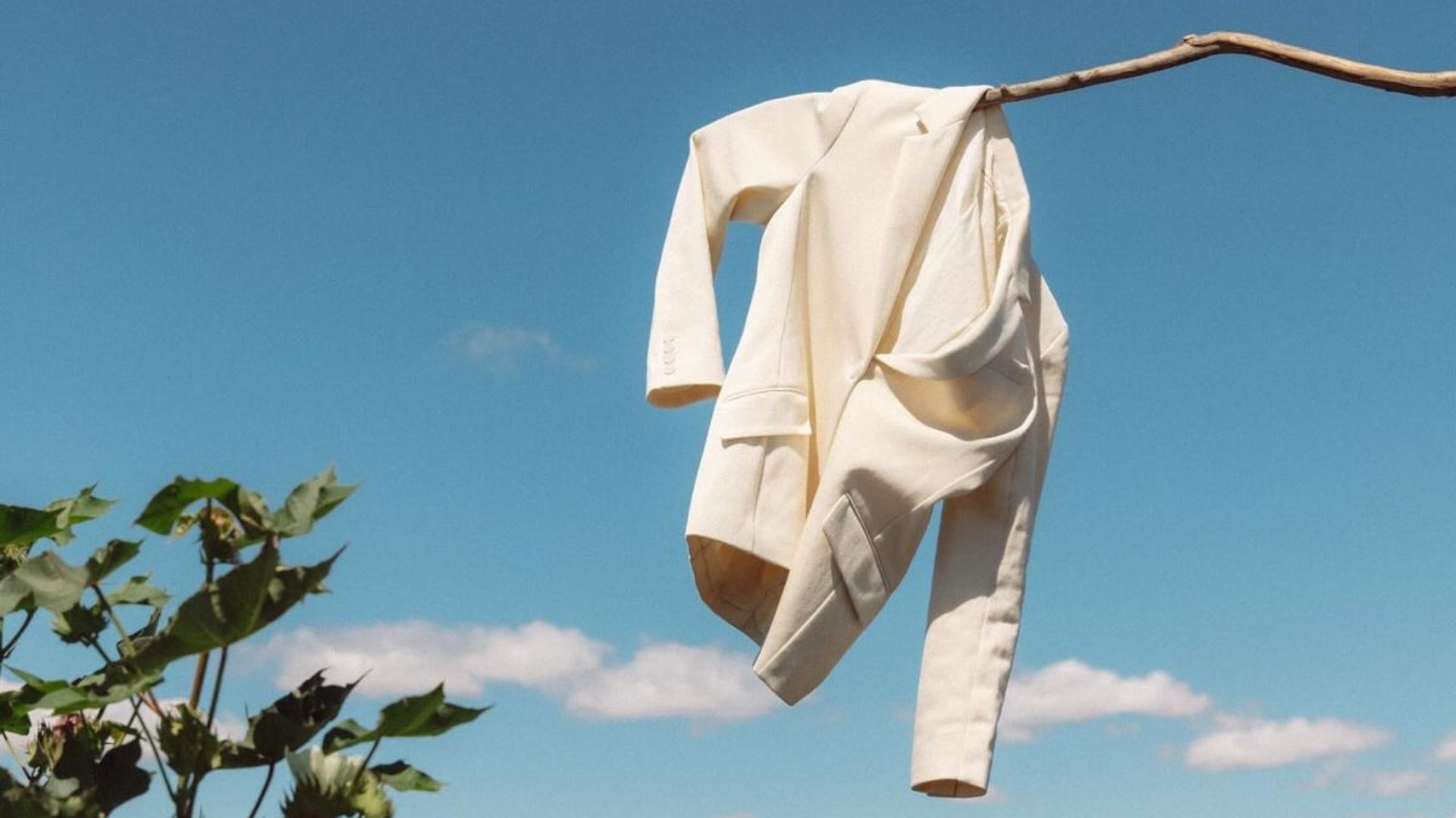 Organic Cotton vs TENCEL™ Explained: A Clear Guide for Design & Sourcing Teams