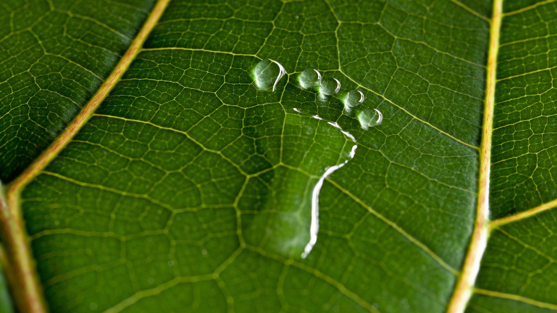 Fashion’s Climate Crisis: Why B2B Innovation Holds the Key to Cutting Emissions in Half