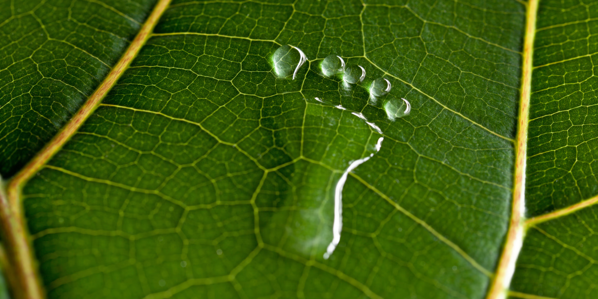 Fashion’s Climate Crisis: Why B2B Innovation Holds the Key to Cutting Emissions in Half