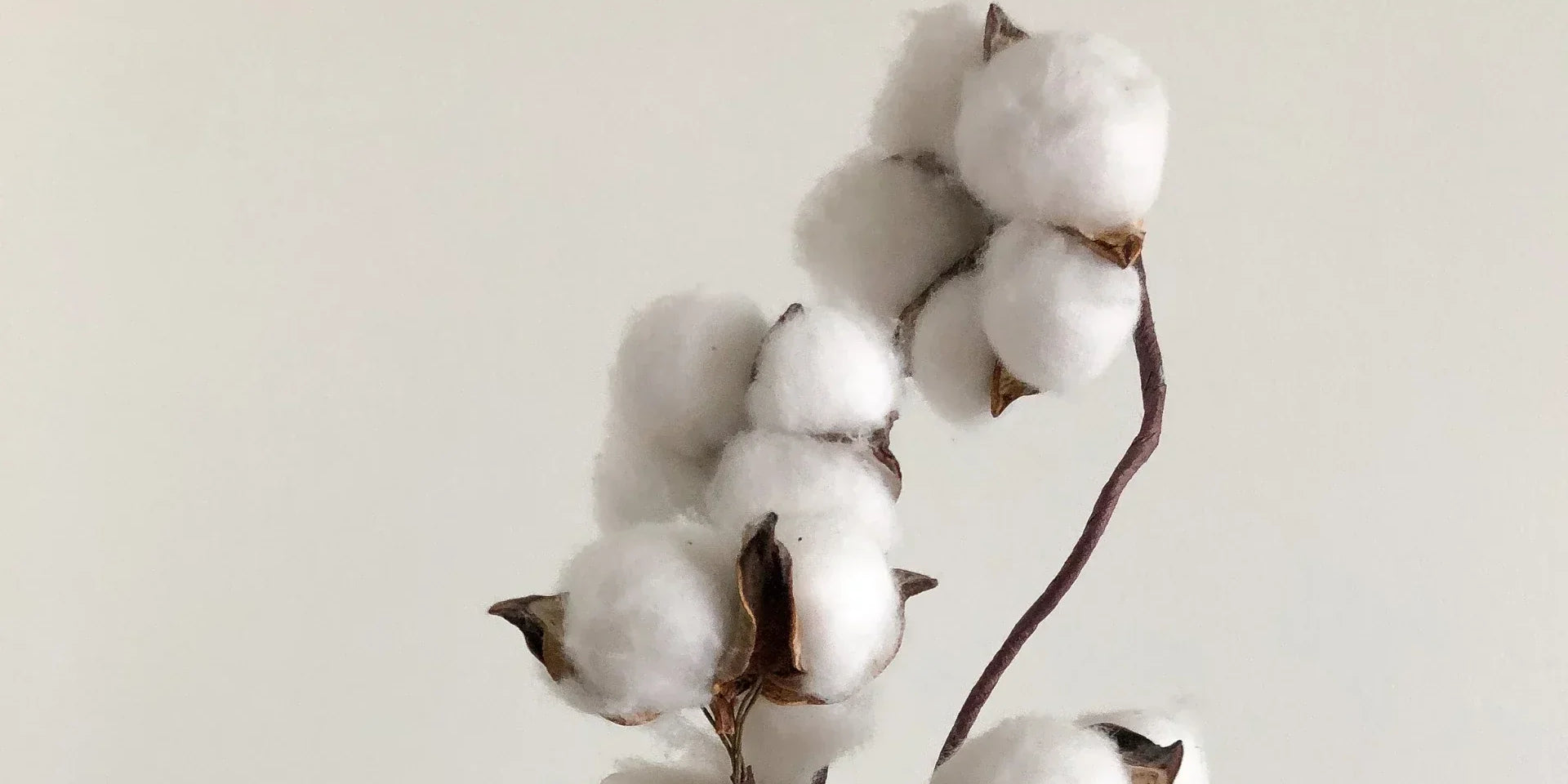 GOTS Partners with Make the Label Count: Addressing Greenwashing in the EU Sustainability Framework