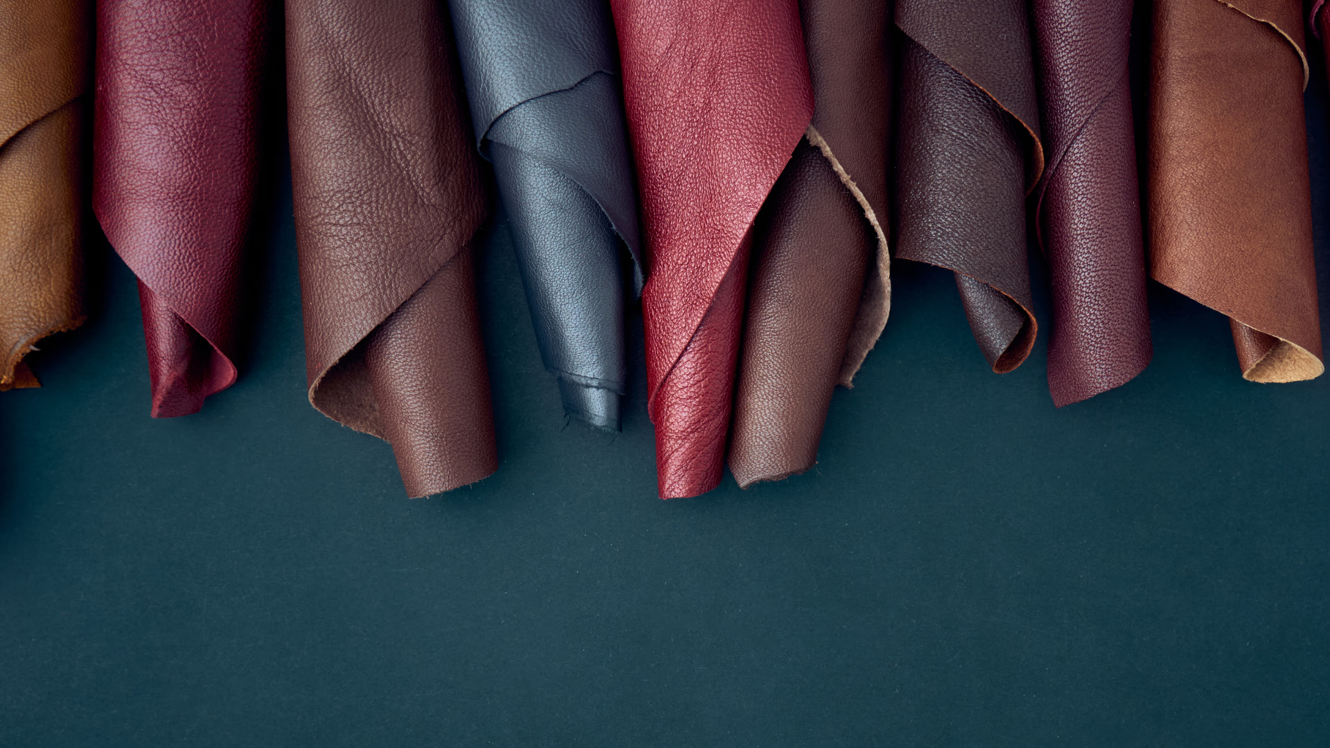 Leather in Fashion: Navigating Debates Through Transparency and Digital Innovation