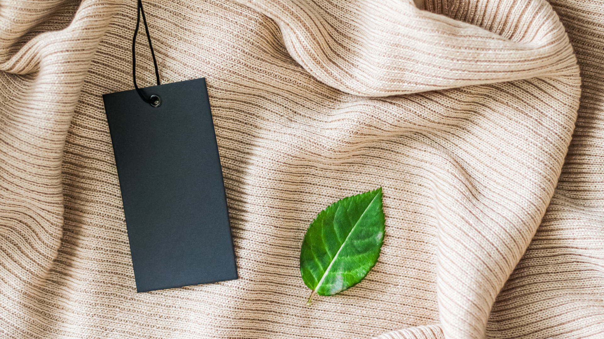 Why Transparency is Key to Fashion Brands and How to Ensure Their Supply Chain is Ethical