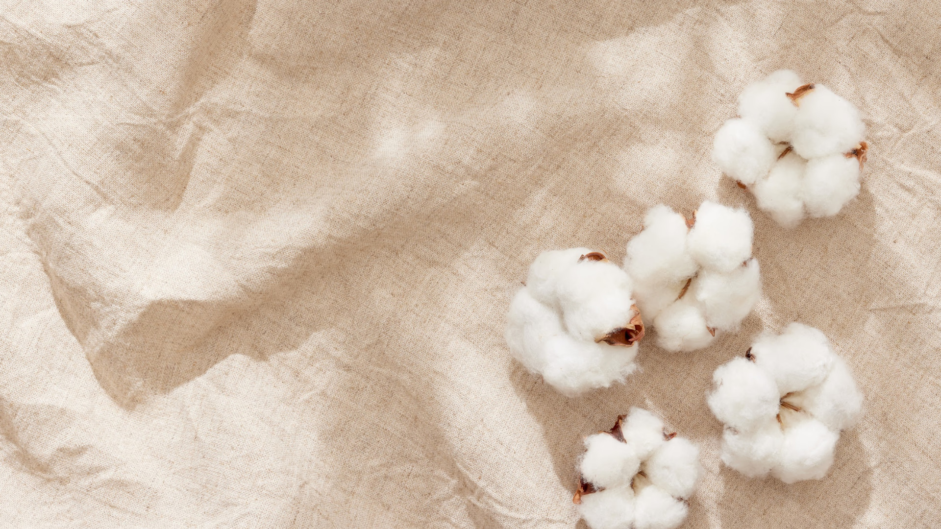 What Sustainable Materials Are Brands Using Today—and Why It Matters