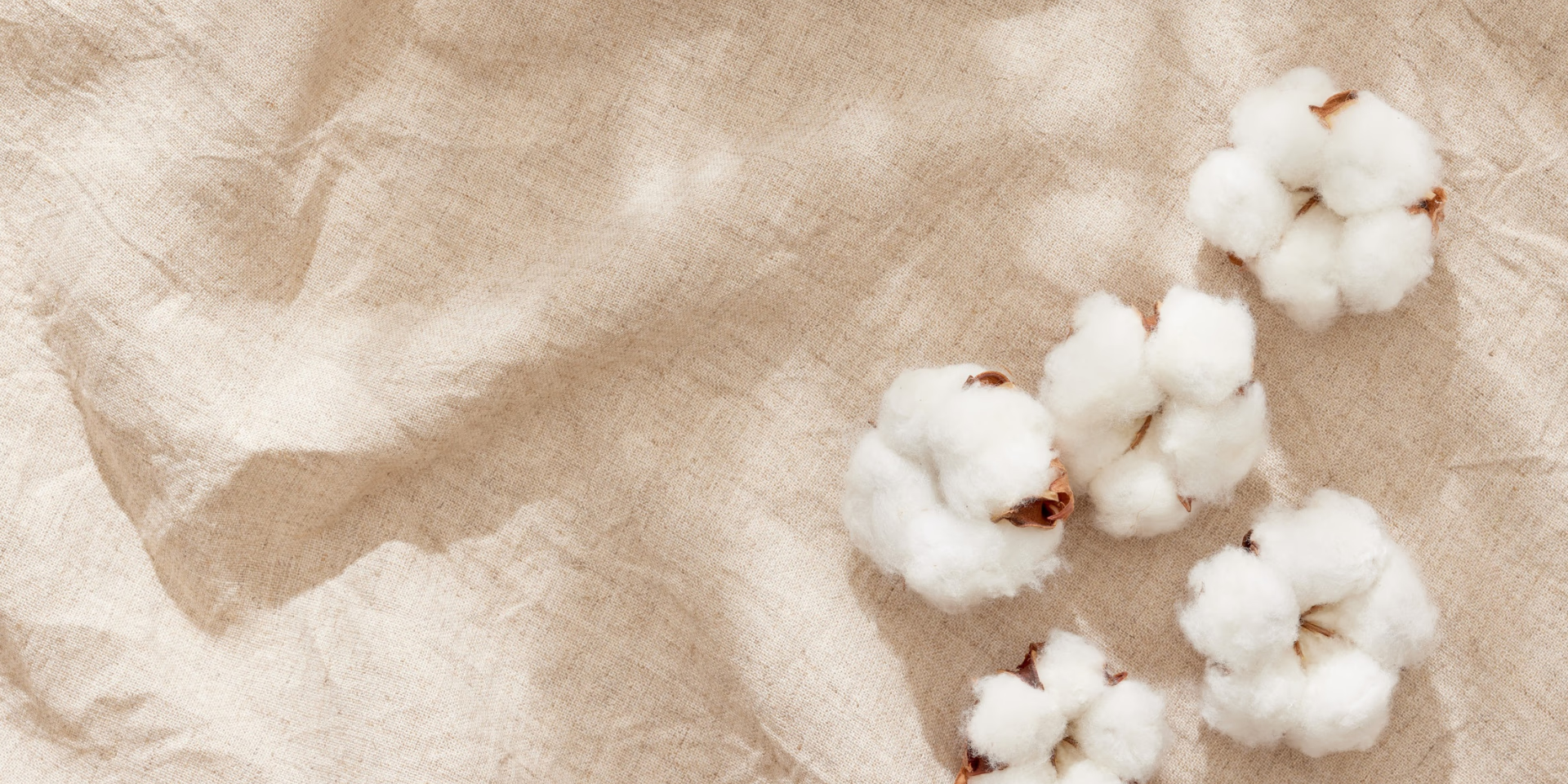What Sustainable Materials Are Brands Using Today—and Why It Matters