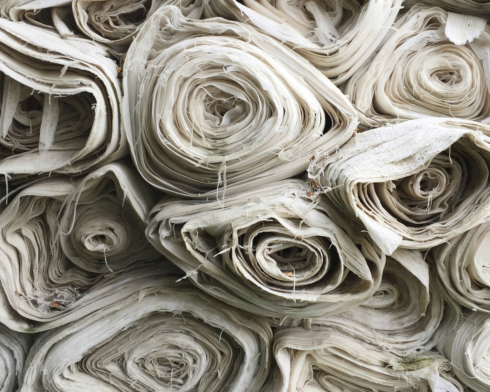 Understanding ESG and Its Impact on Supply Chains
