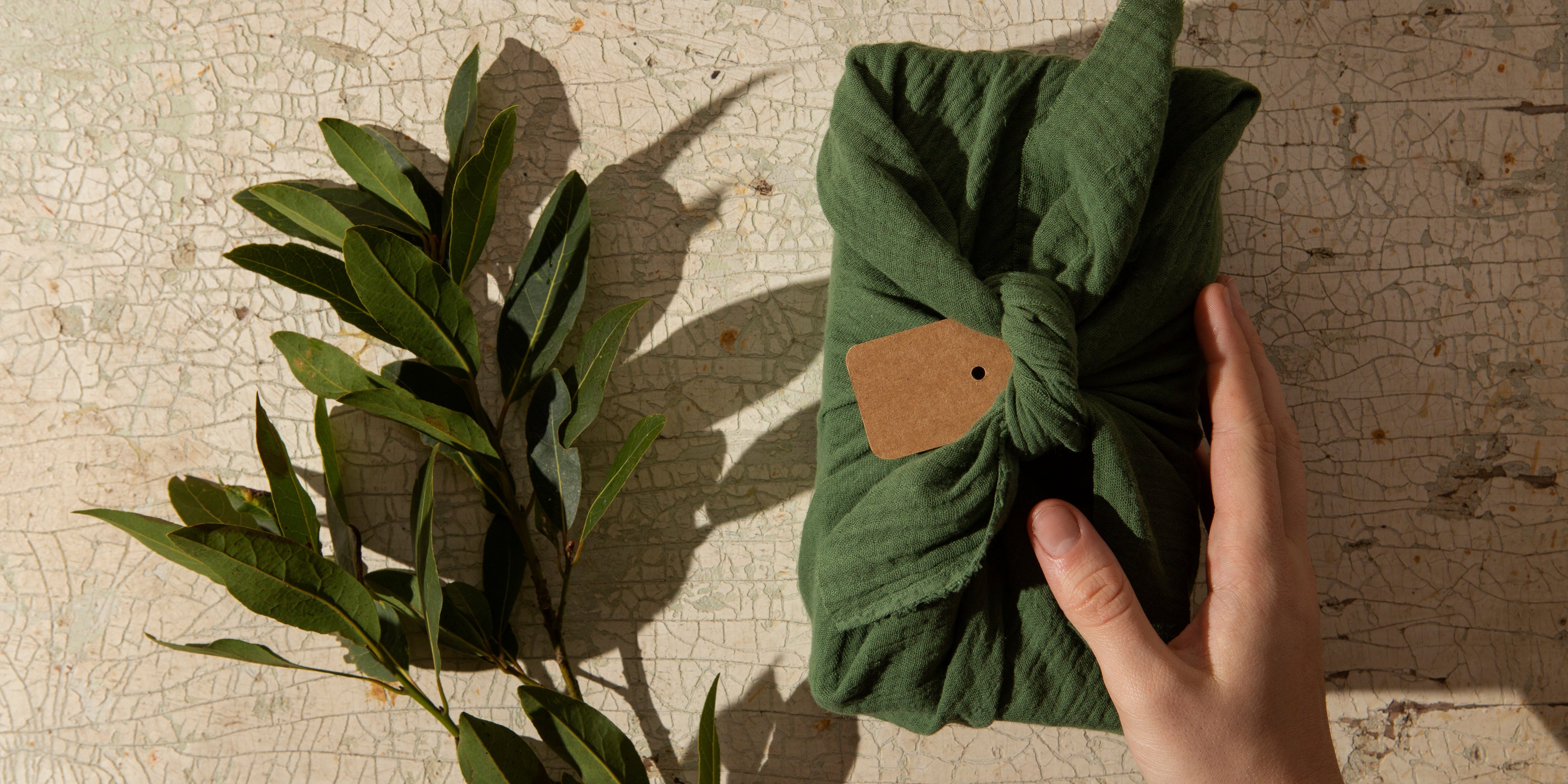 Should You Join the Clean Fashion Movement? Here’s What SME Brands Need to Know