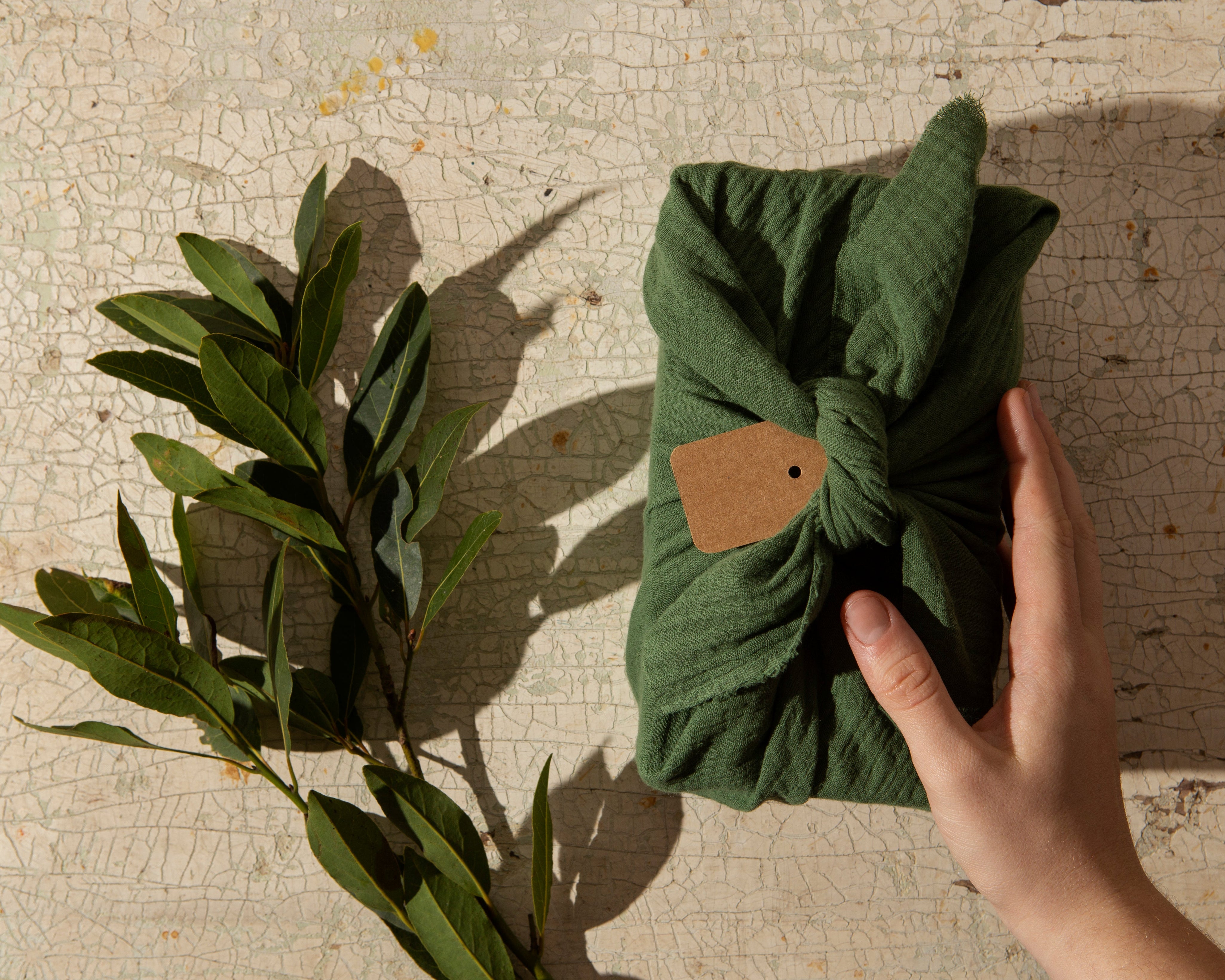 Should You Join the Clean Fashion Movement? Here’s What SME Brands Need to Know