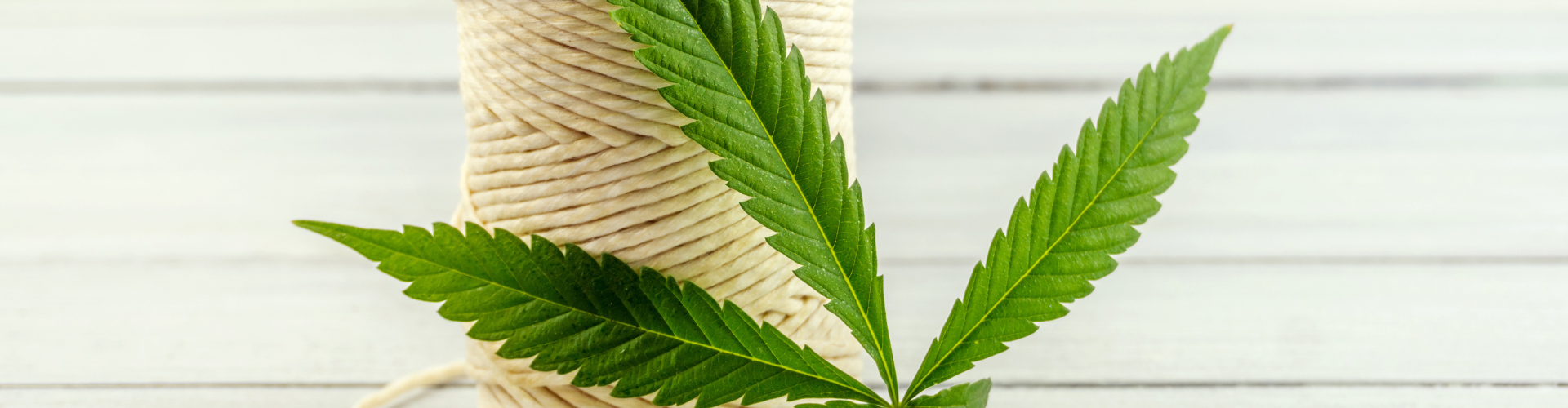Hemp