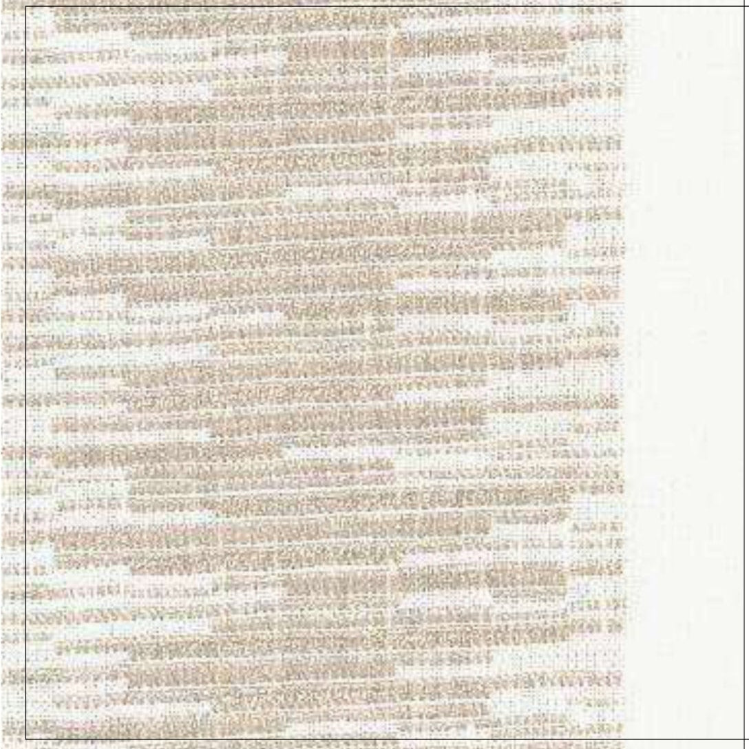 Noah — SHE03JF001-004