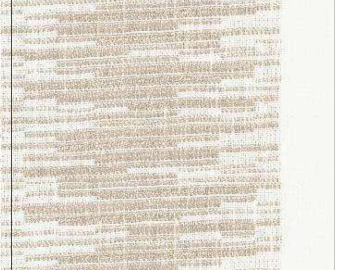 1_39ed5bea-25fc-4d4b-8b75-abb1bd7e6f61.jpg