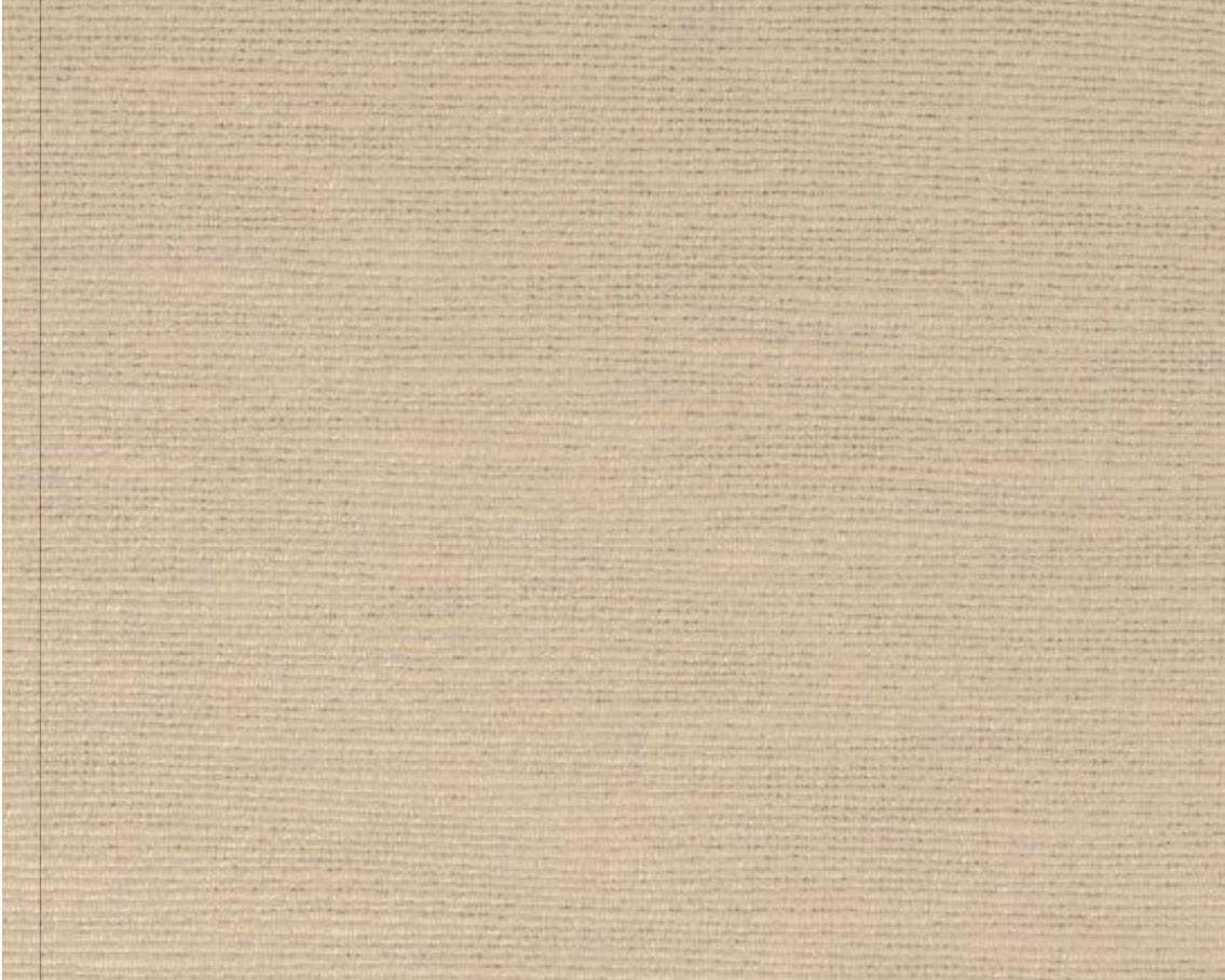 Hailee - SHE04TF008–0012
