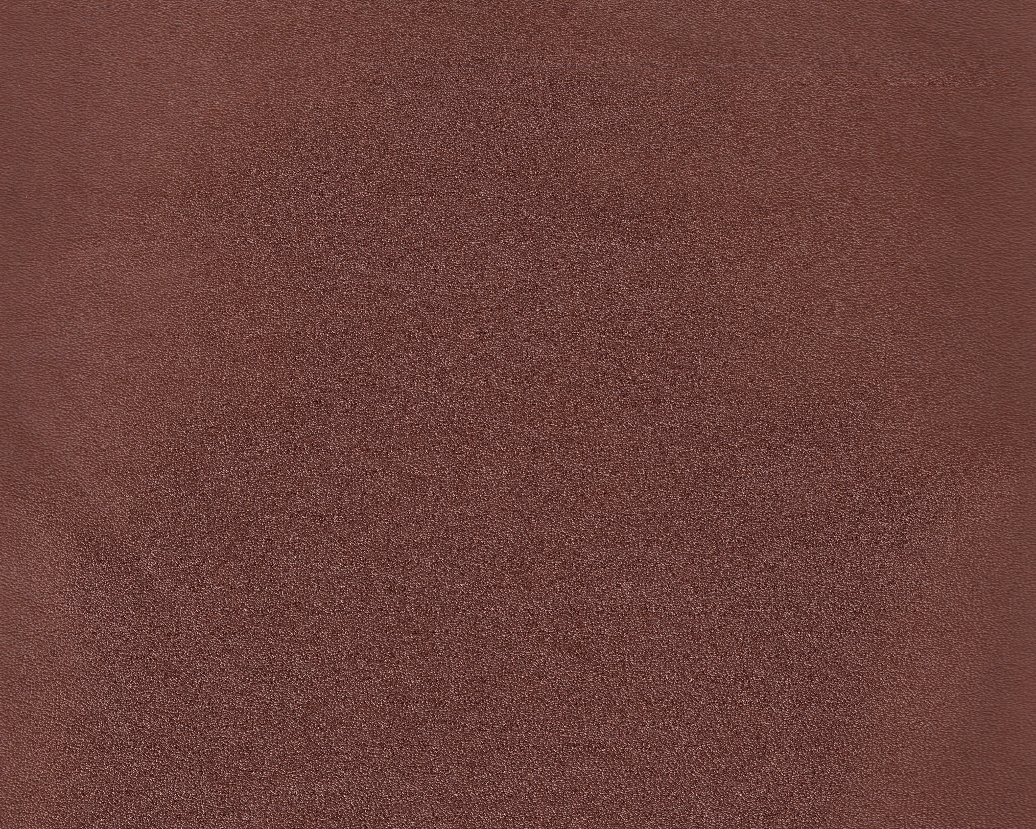 932300103_digi.jpg