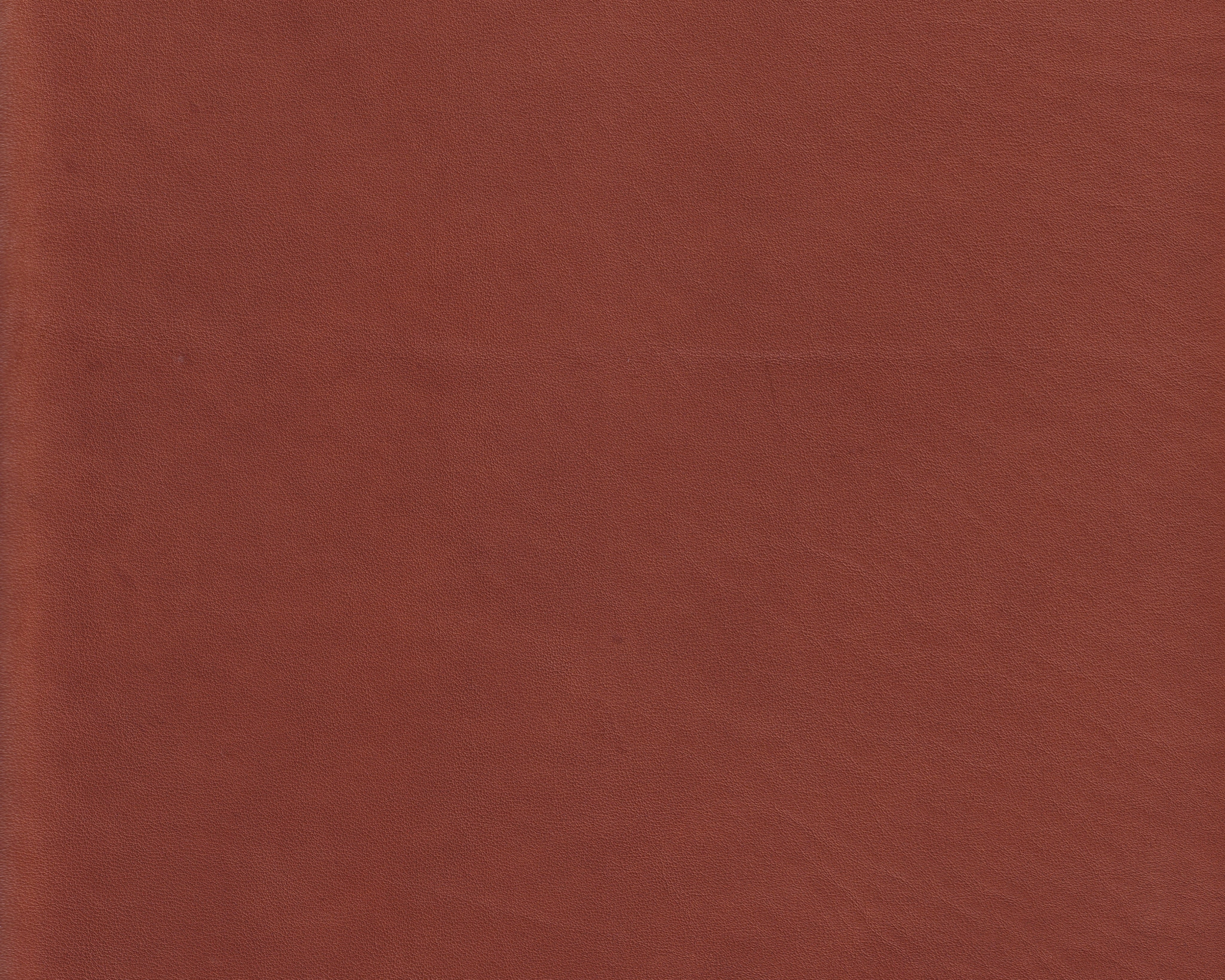 932300109_digi.jpg