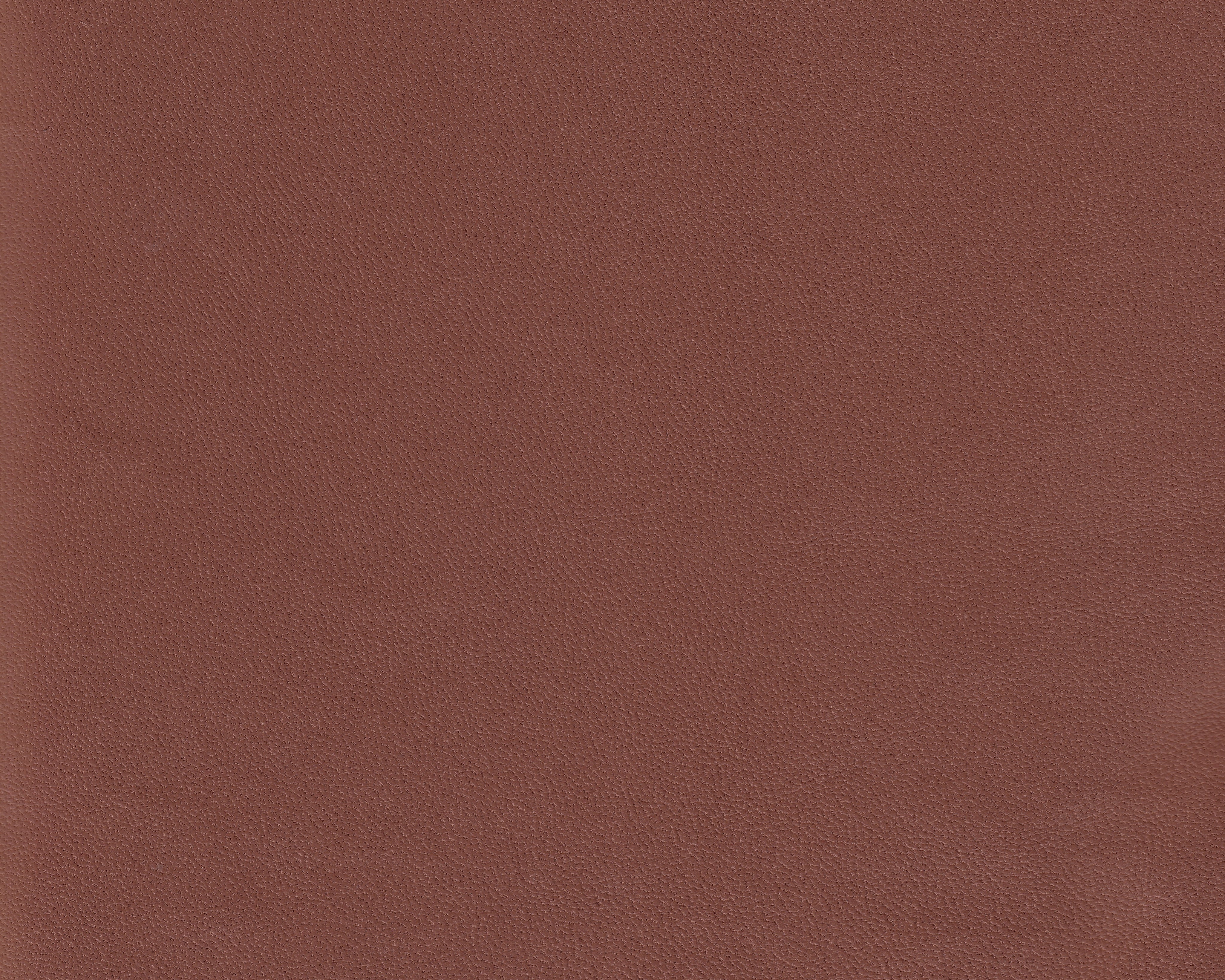 932300111_digi.jpg