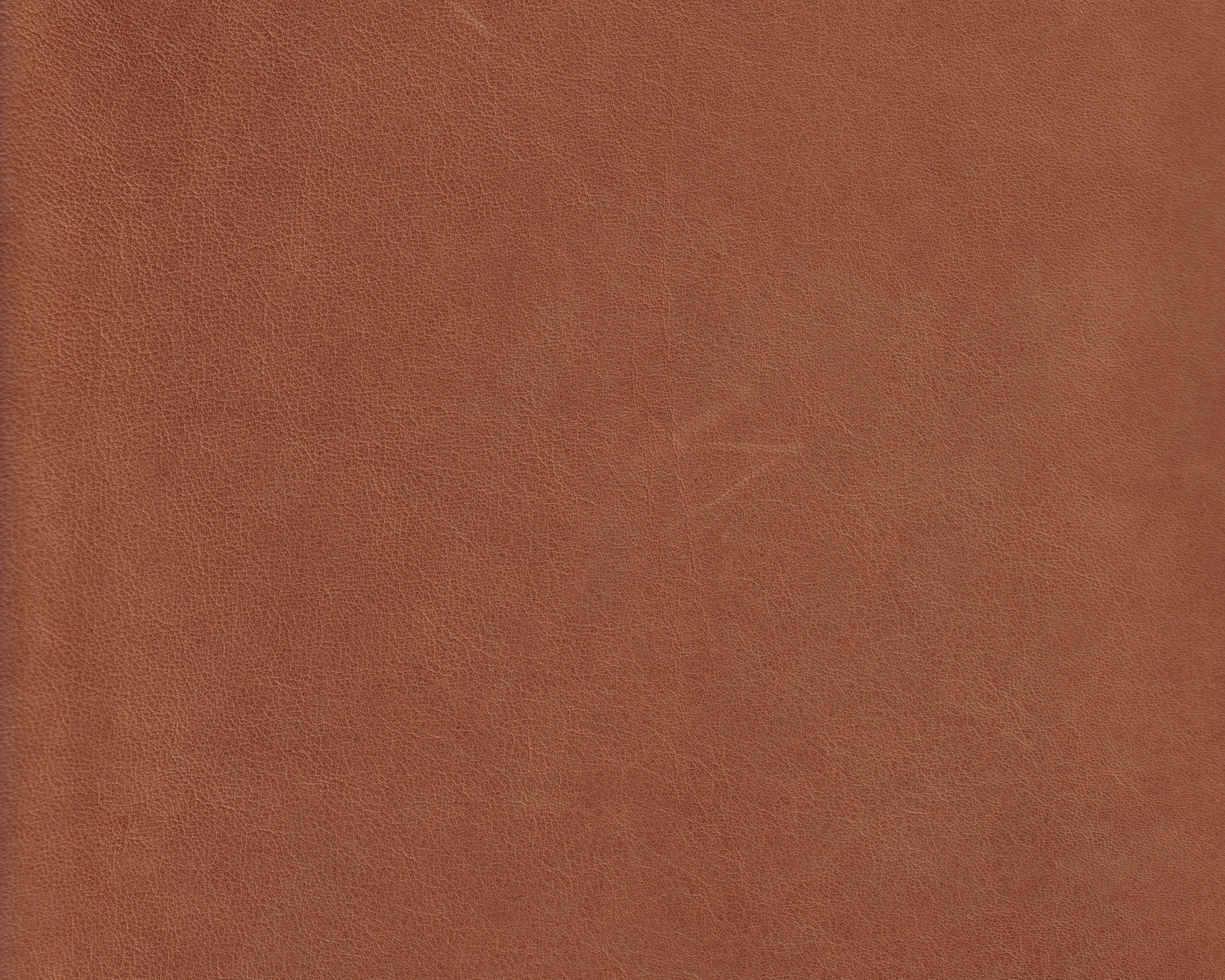 932300112_digi.jpg