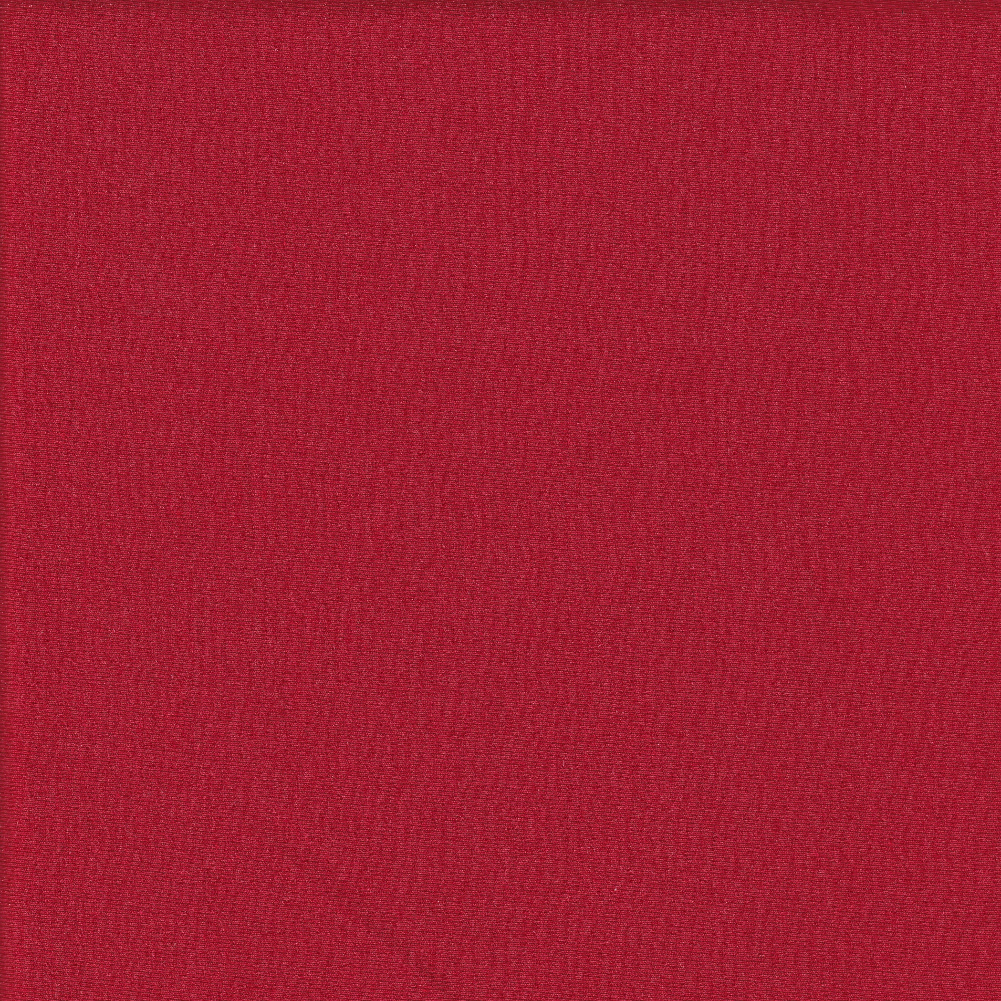 Single Knit Jersey Finished Fabric (RD121) - PP28RD121SJ145