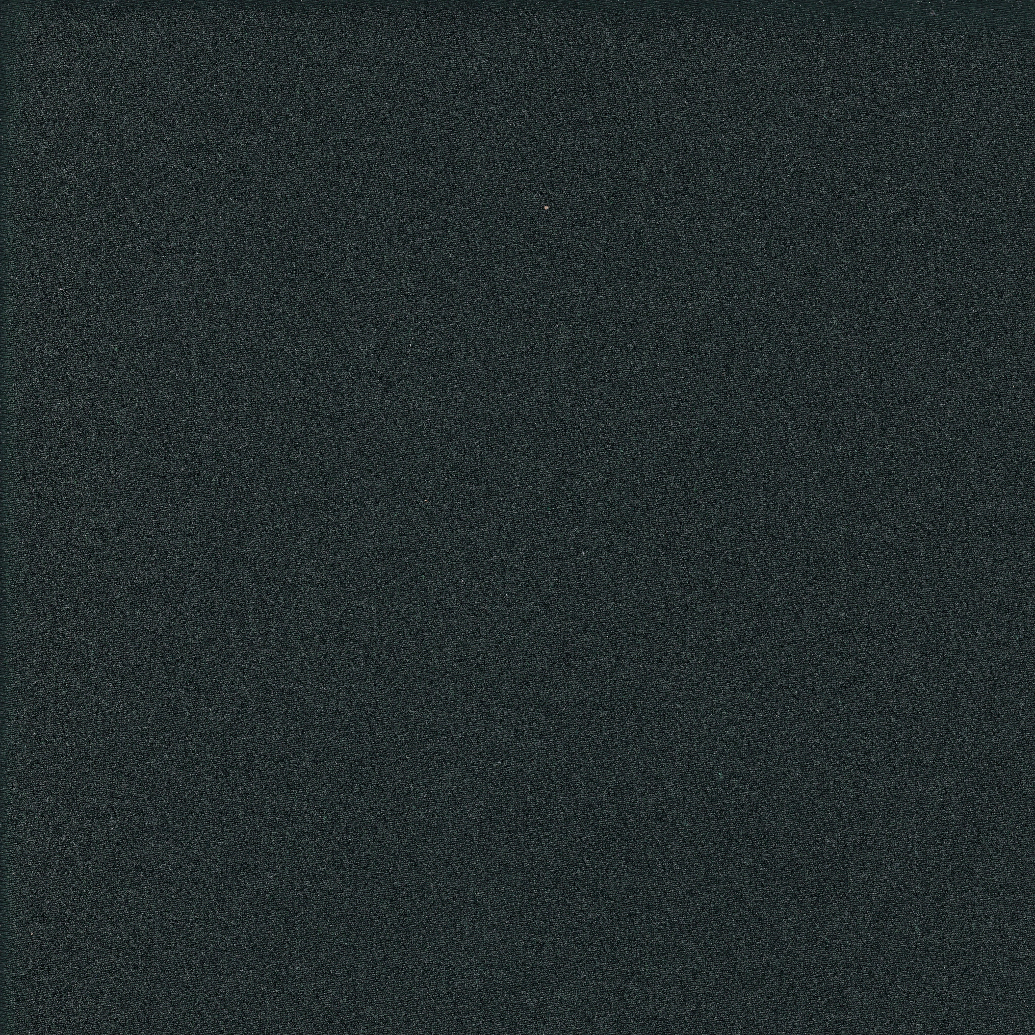 Single Knit Jersey Finished Fabric - (GR336) - PP28GR336SJ160
