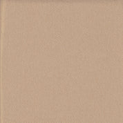 Single Knit Jersey Finished Fabric (BR425) - PP20BR425SJ190