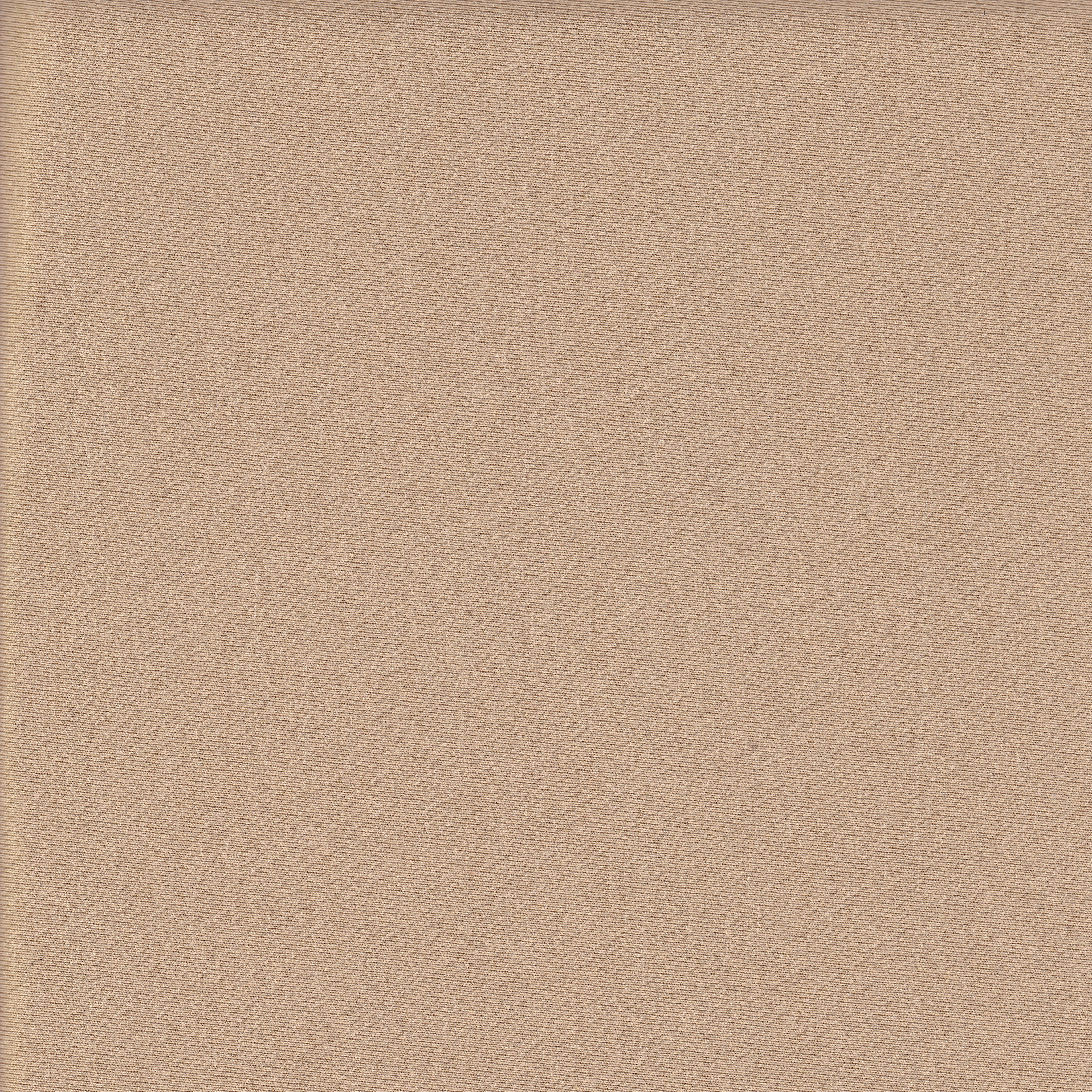 Single Knit Jersey Finished Fabric (BR425) - PP20BR425SJ190
