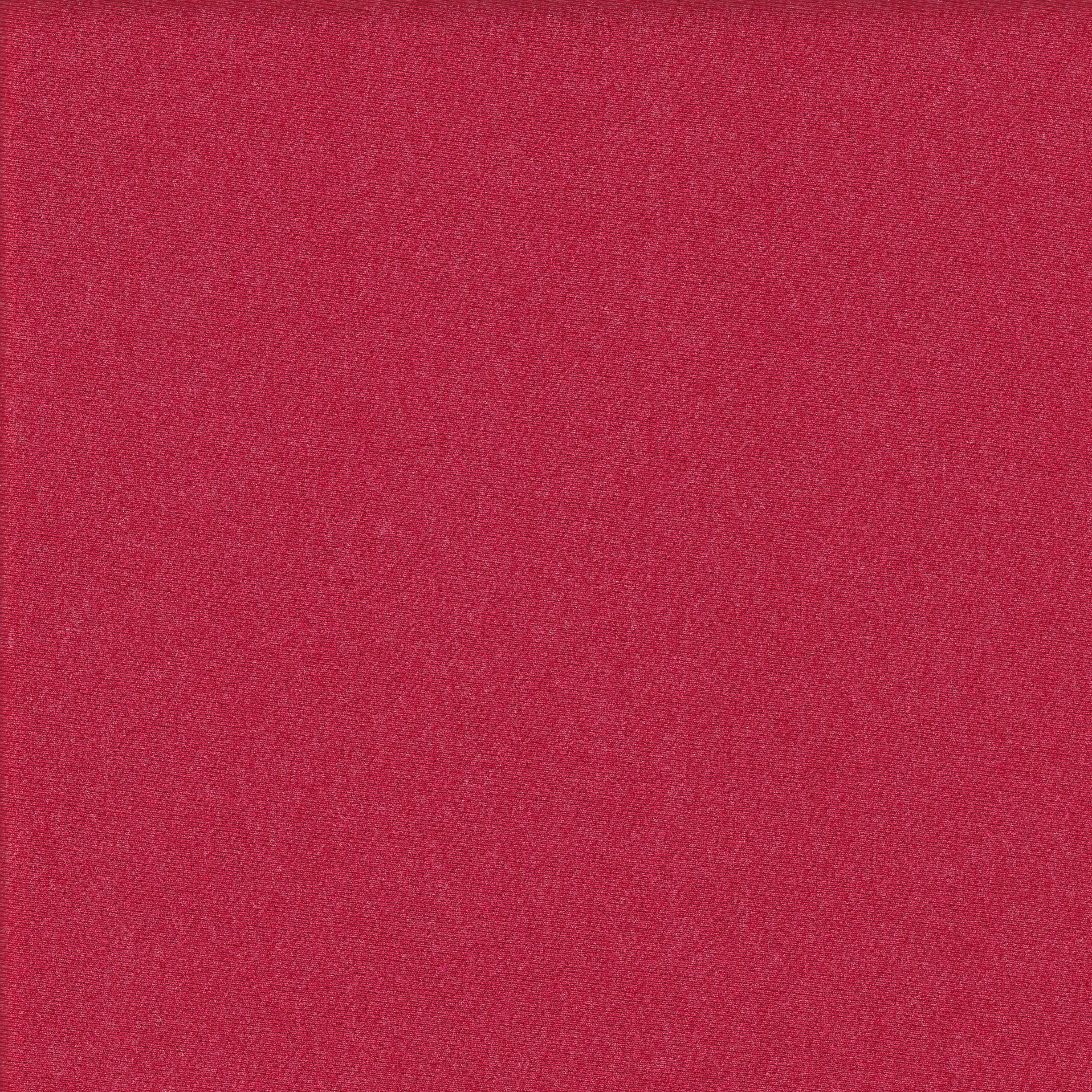 Single Knit Jersey Finished Fabric (RD130) - PP28RD130SJ150