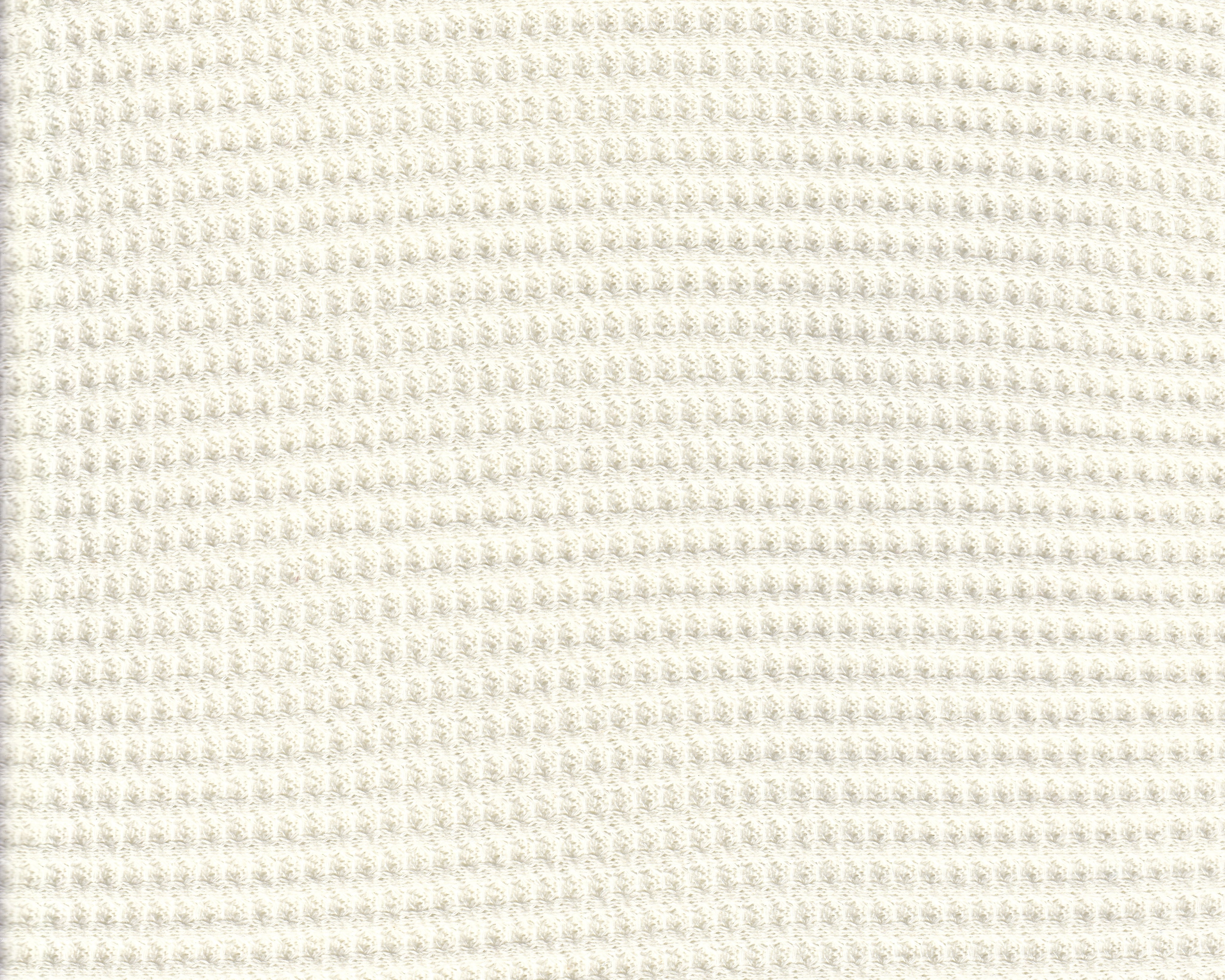 932300175_digi.jpg