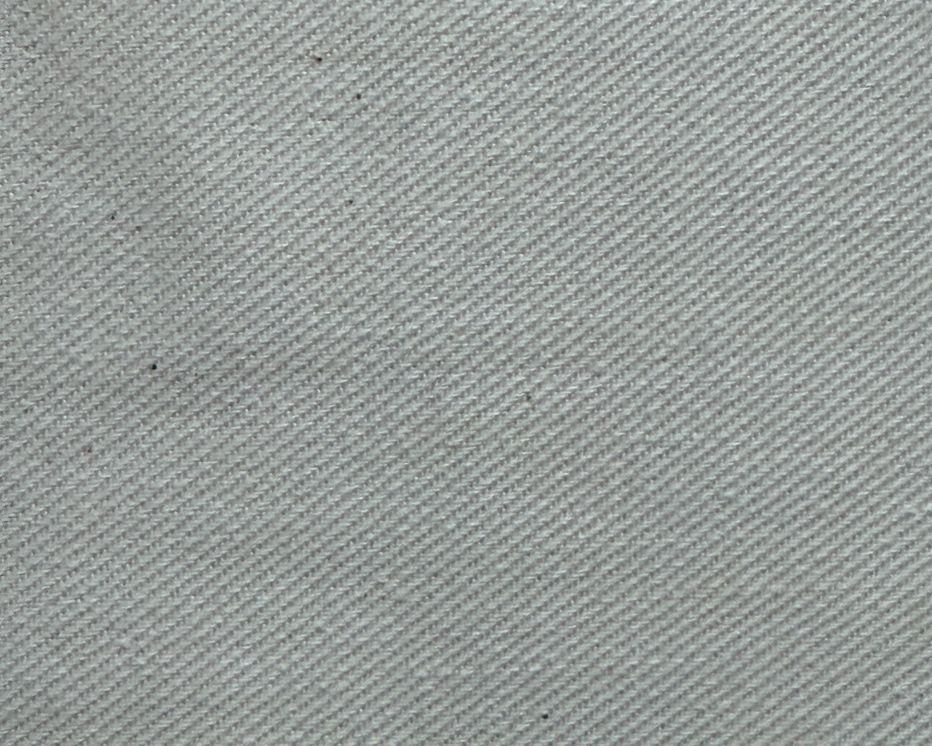 Avalo_Cotton_Twill_1.jpg