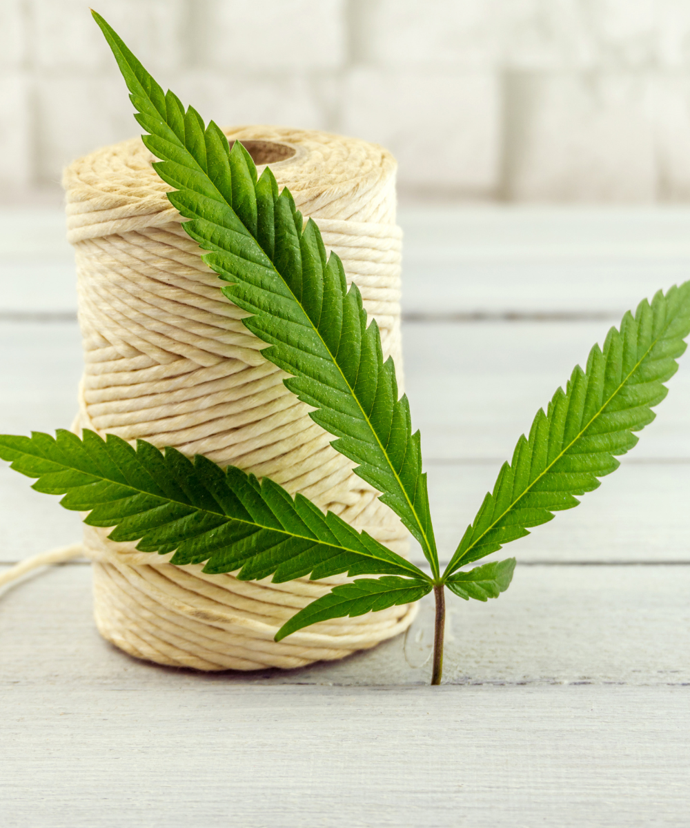 Banner_website_collections_WC_1000_x_1200_px_36.png