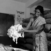 5481 AP GW - Waffle 16s