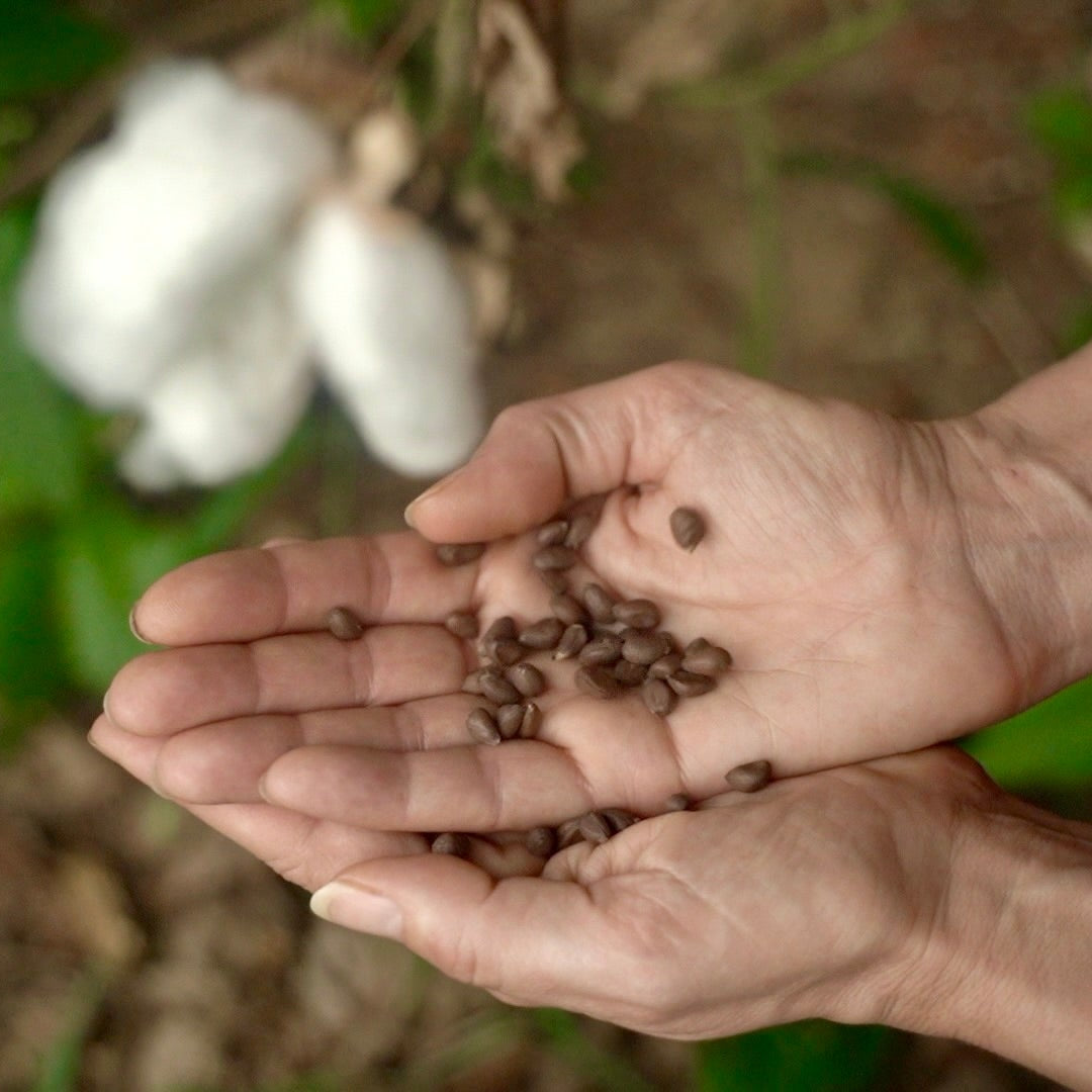 O002 ER WD - Woven Organic Cotton Denim Twill