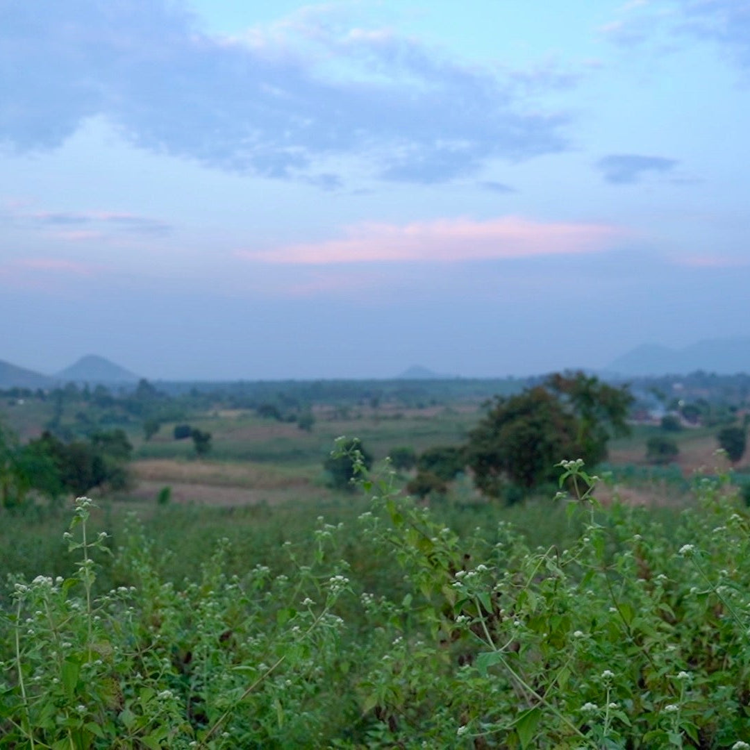 O001 ER WD - Organic Cotton Linen washed