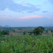 O001 ER WD - Organic Cotton Linen washed