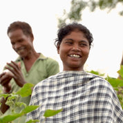 5481 AP WD - Waffle 16s