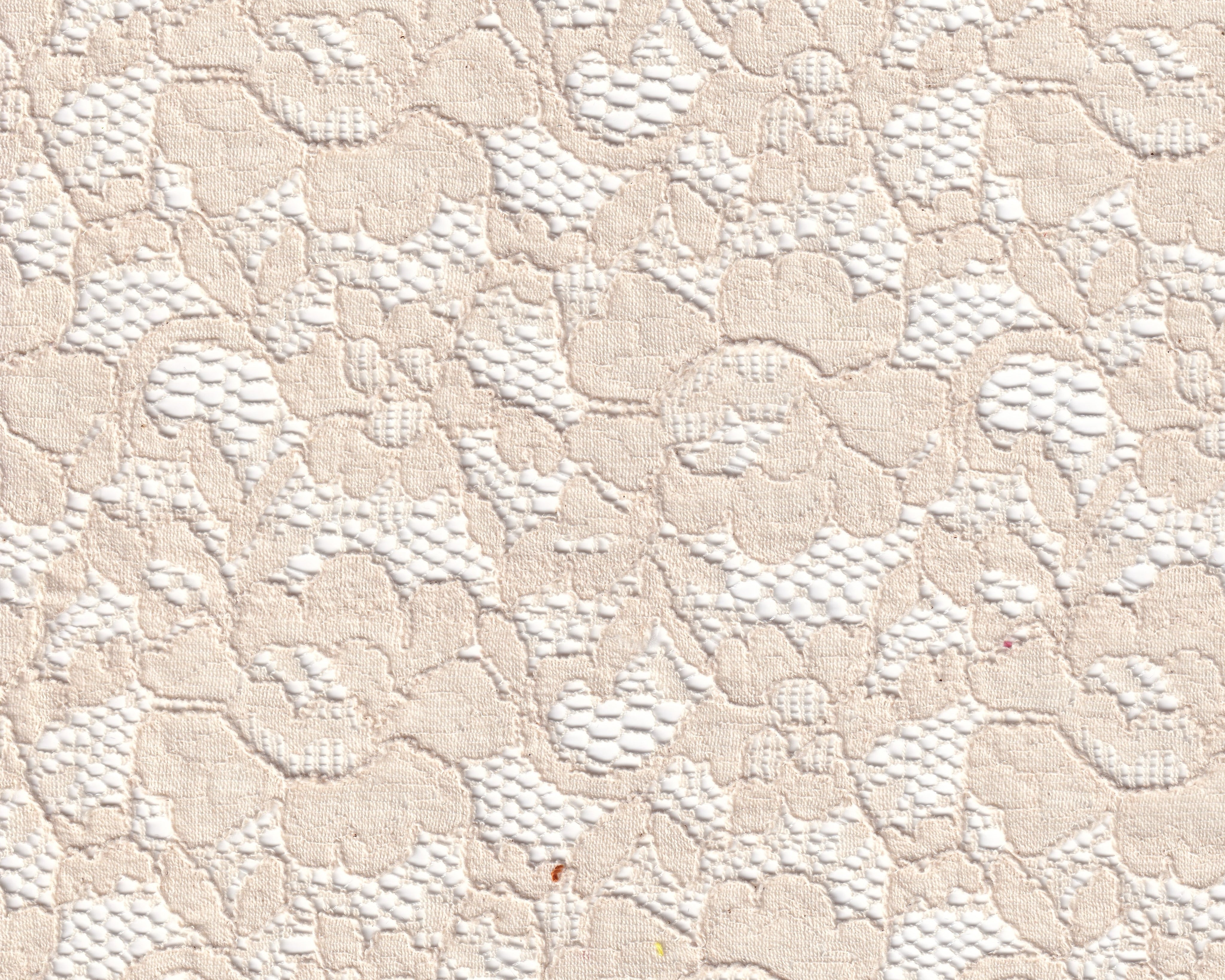 LISS1051.jpg
