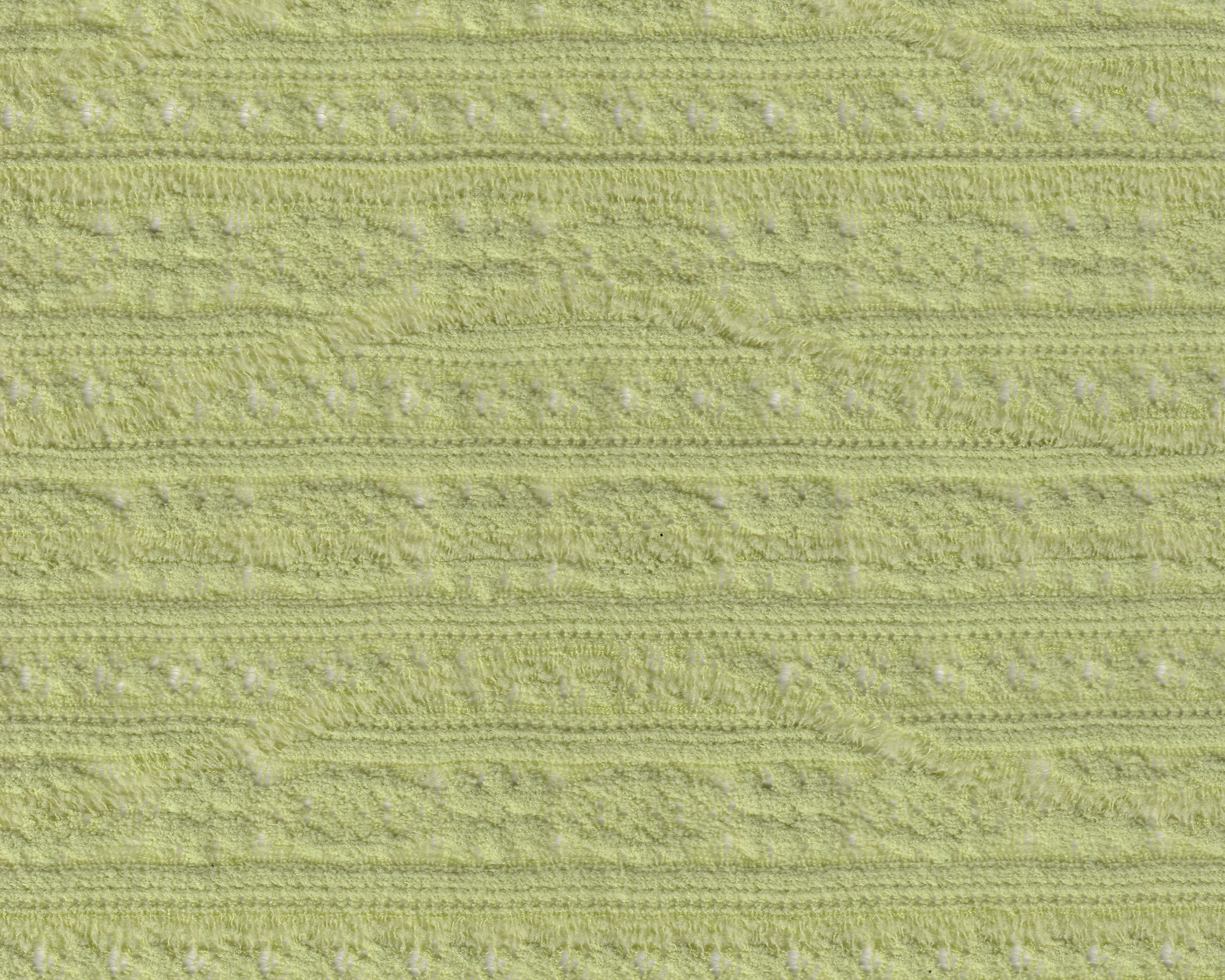 LISS1382.jpg