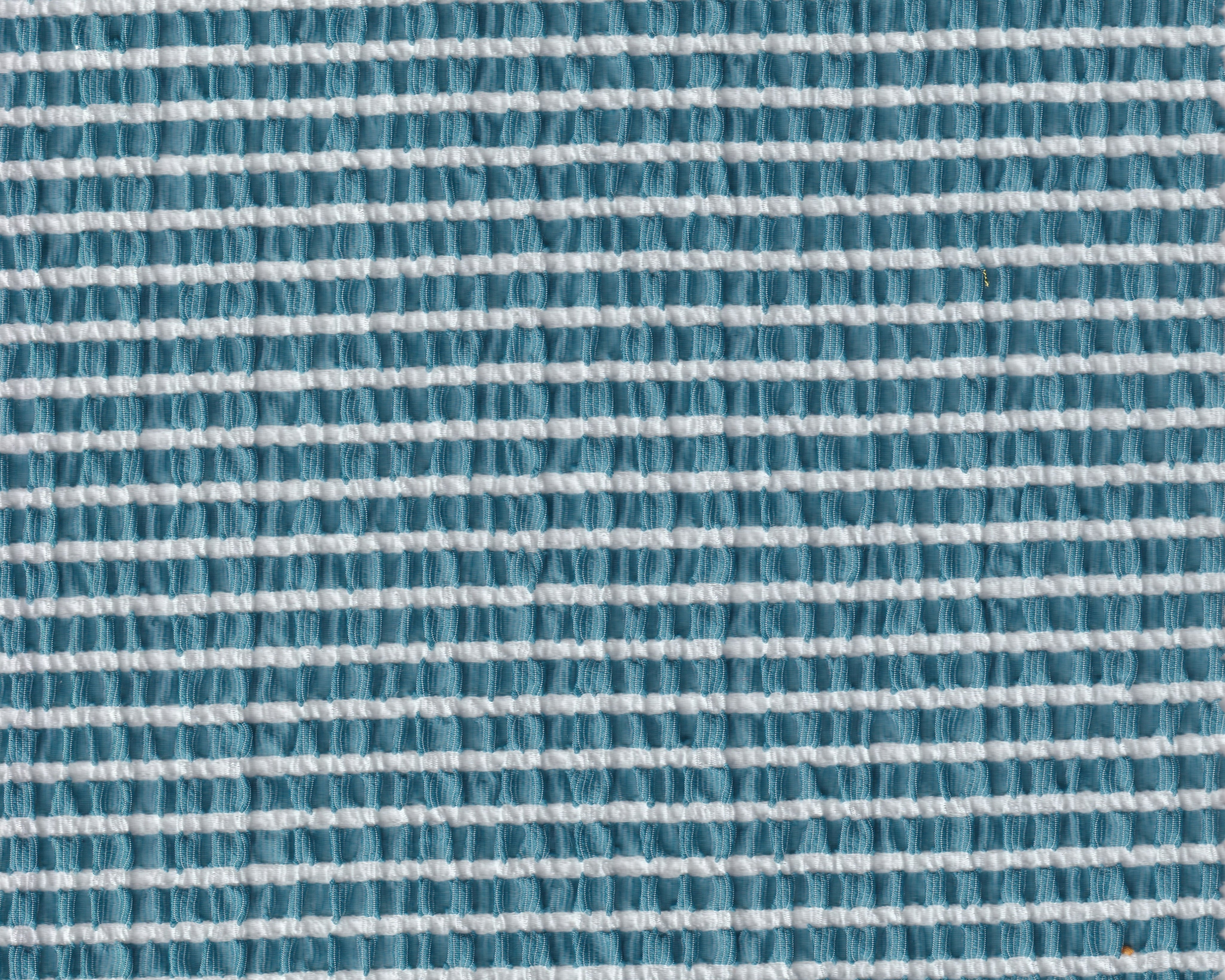 LISS1385.jpg