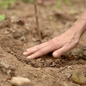 O002 ER WD - Woven Organic Cotton Denim Twill