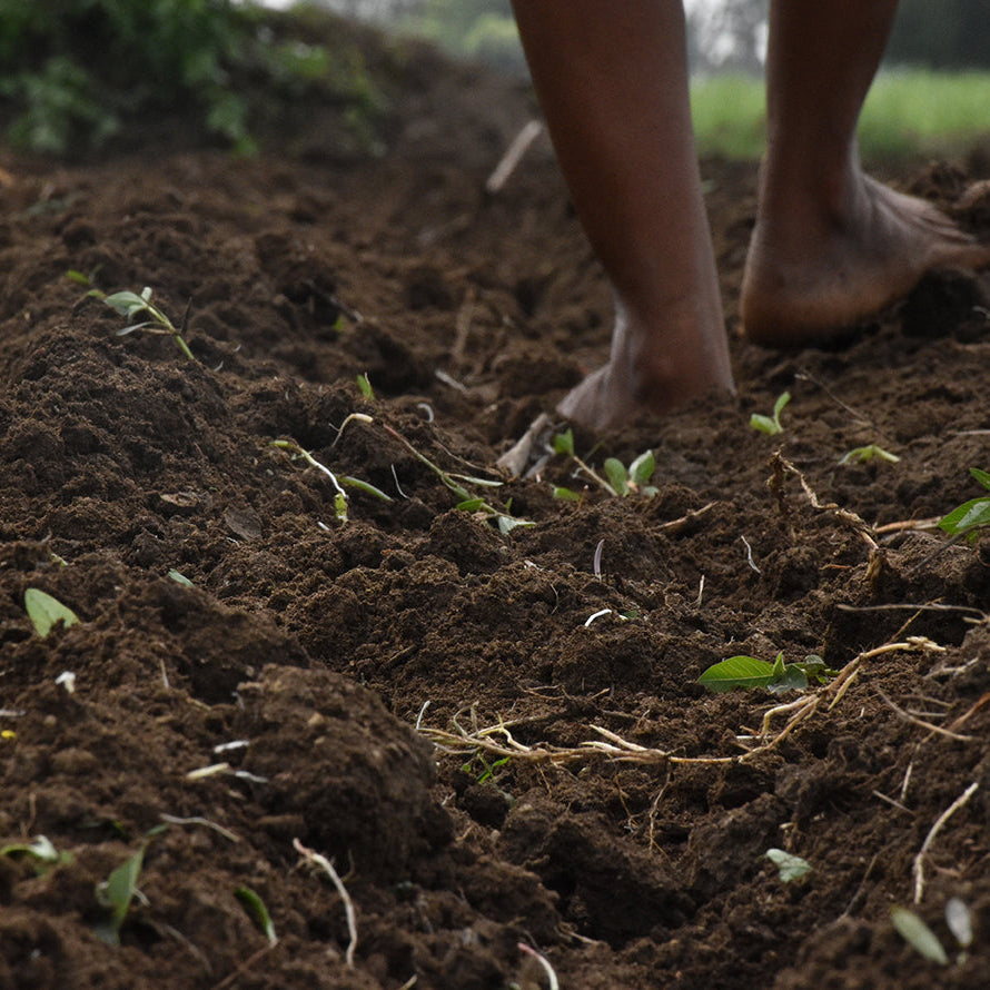 5494 AP WD - 2x1 durby knit Rib