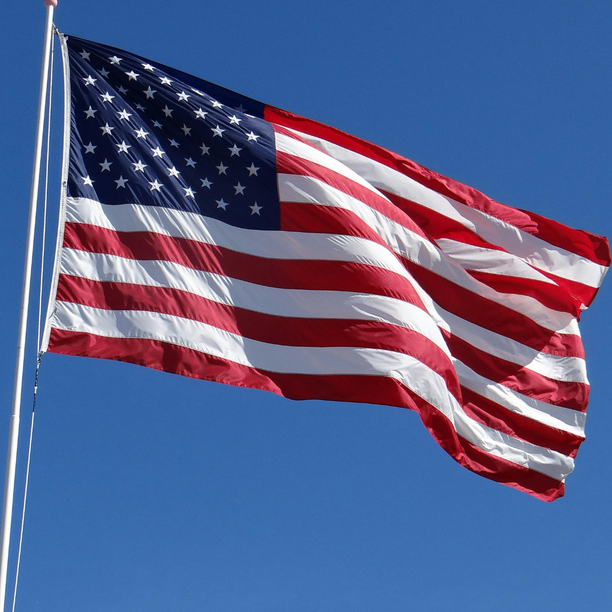 Untitled_design_1_6fb84a76-1cbc-424f-80f2-286dc78eea20.png