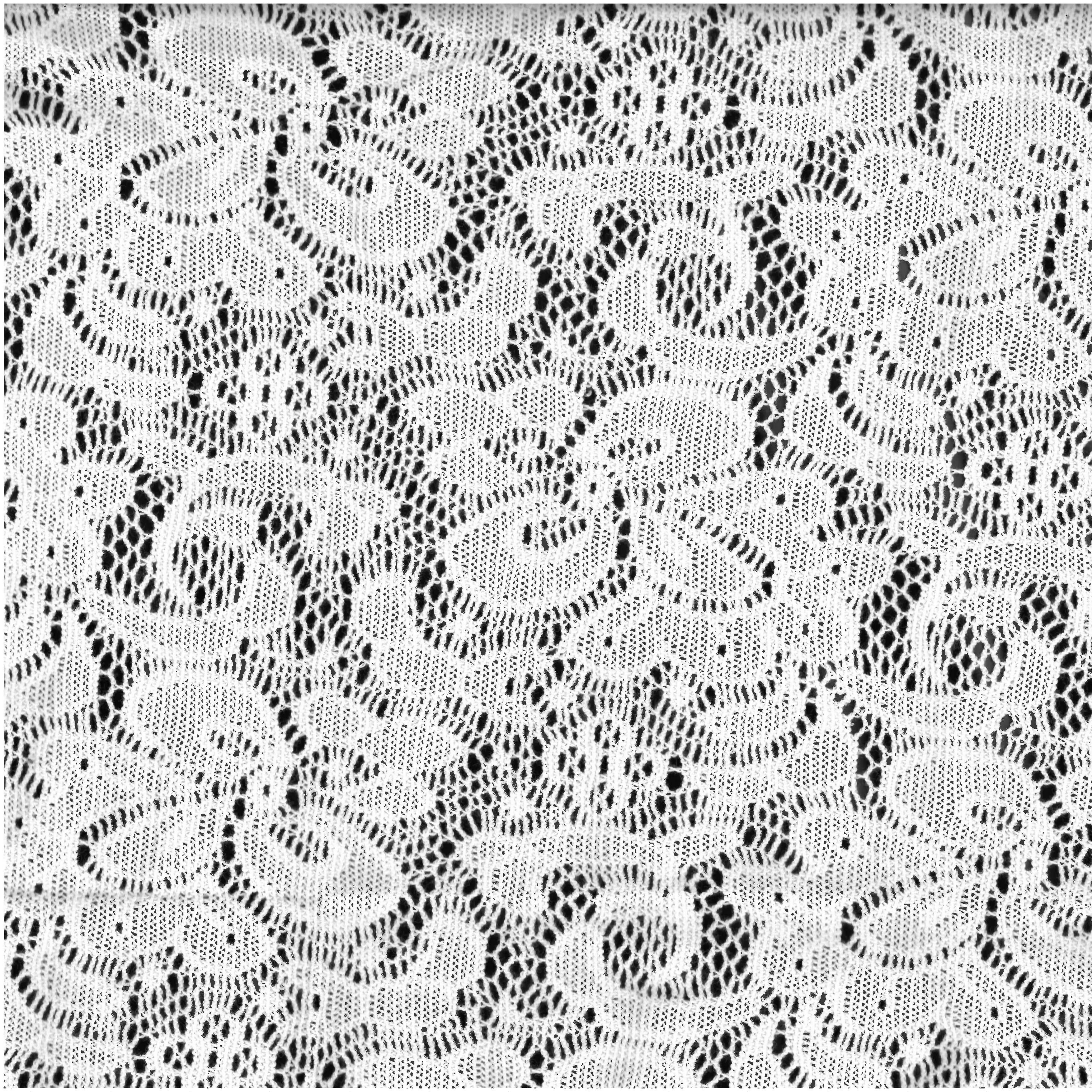 Liss 1168 - Samples