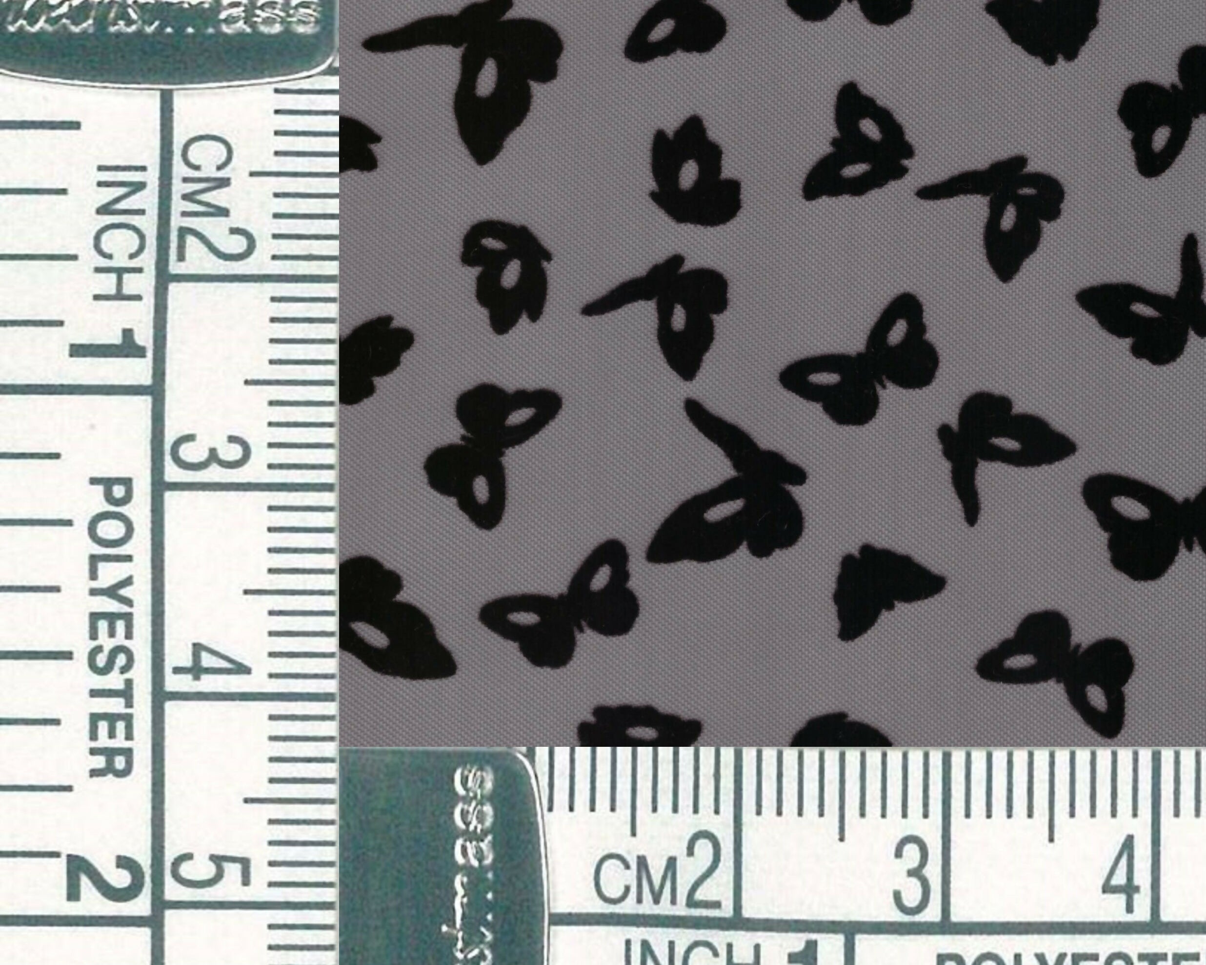 Face(Ruler) (7)